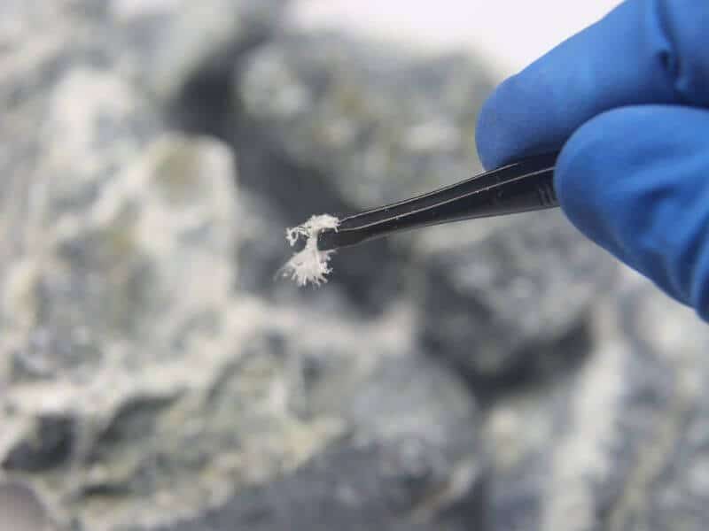 Mano con guanto blu e pinzetta che tiene un pezzo di amianto per analisi in laboratorio