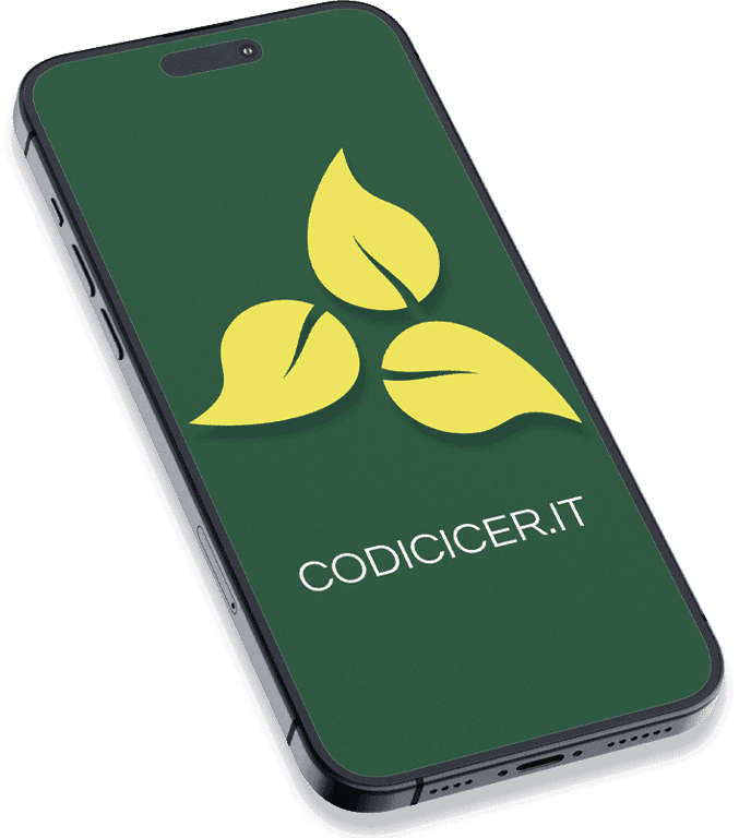 grafica di un cellulare con logo codici cer